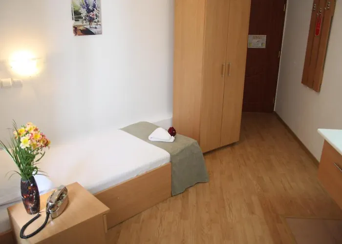 Sir Gara De Nord Bukarest